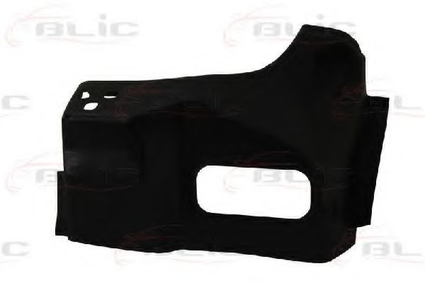 6504-03-3548701P Panou spate BLIC 