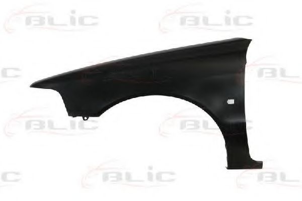 6504-04-9009313P Aripa BLIC 