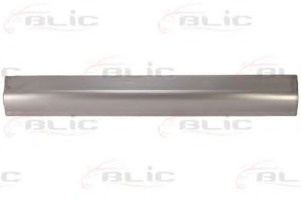 6505-06-3546003P Panou lateral BLIC 