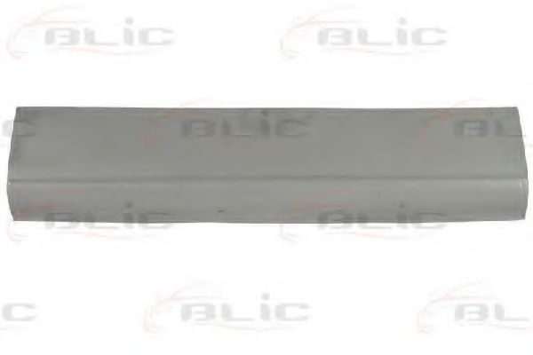 6505-06-3546014P Panou lateral BLIC 