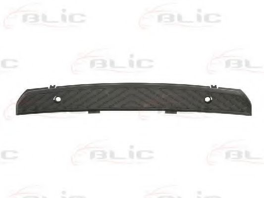 6509-01-3547920P Banda de protectie, bara de protectie BLIC 