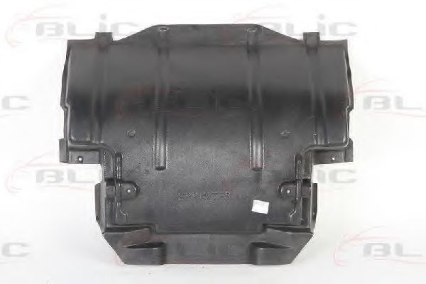 6601-02-3546860P Acoperire motor BLIC 