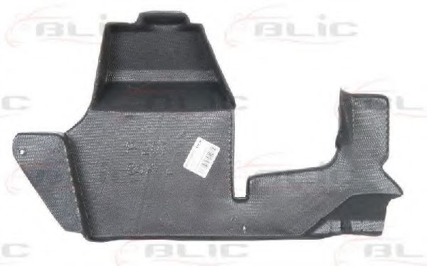 6601-02-5508871P Acoperire motor BLIC 