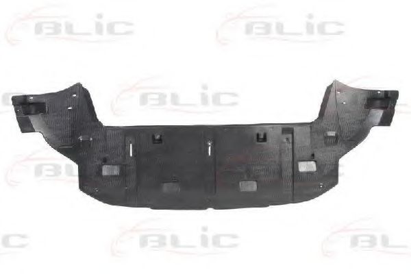 6601-02-5519880P Acoperire motor BLIC 