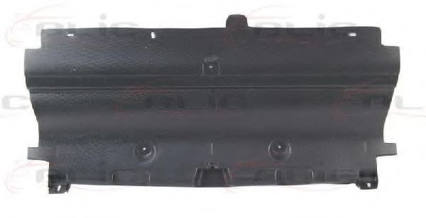 6601-02-5537880P Acoperire motor BLIC 