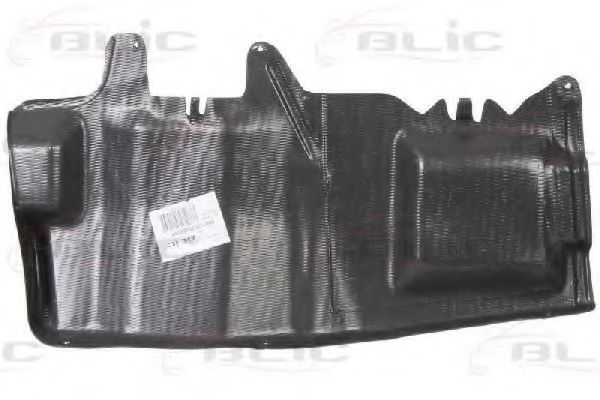 6601-02-9008873P Acoperire motor BLIC 
