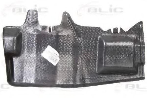 6601-02-9008874P Acoperire motor BLIC 