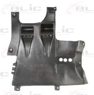 6601-02-9008876P Acoperire motor BLIC 