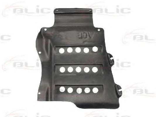 6601-02-9008877P Acoperire motor BLIC 
