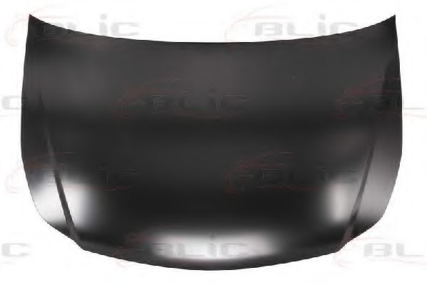 6803-00-6835280P Capota motor BLIC 