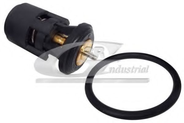 81762 termostat,lichid racire 3RG 