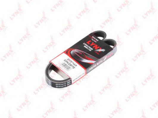 6PK0975 Curea transmisie cu caneluri LYNXauto 