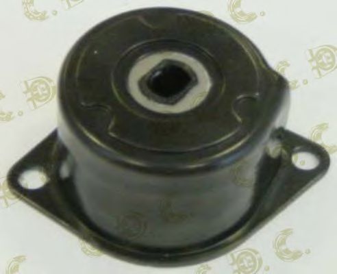 intinzator,curea transmisie