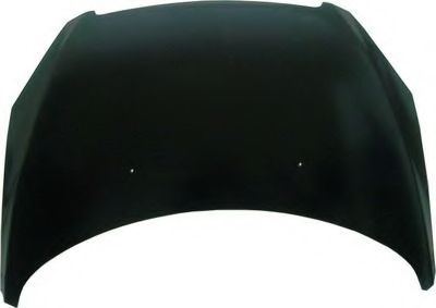 Capota motor