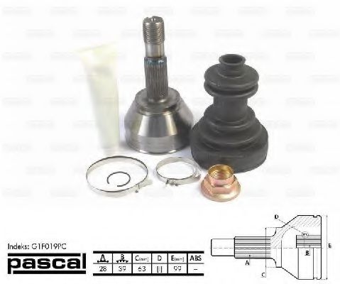 G1F019PC Set articulatie, planetara PASCAL 
