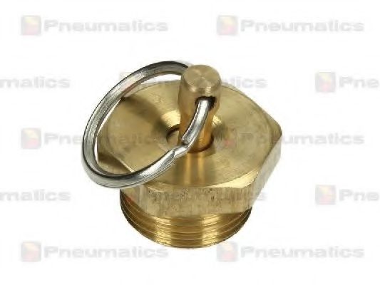 PN-10088 Supapa admisie PNEUMATICS 