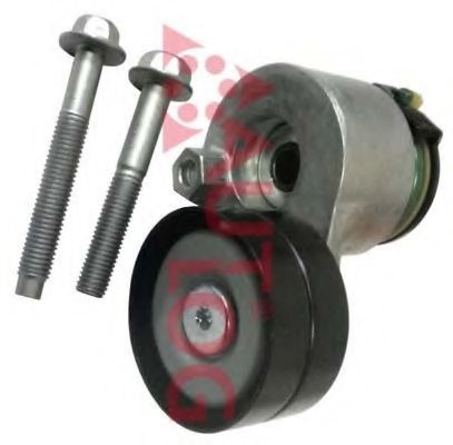 intinzator,curea transmisie