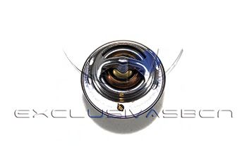 termostat,lichid racire 2