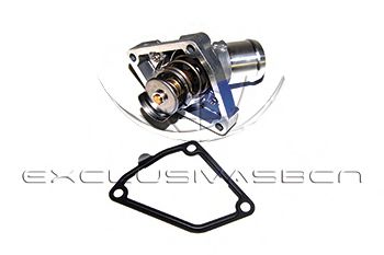 termostat,lichid racire 2