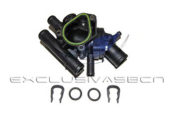 termostat,lichid racire 2