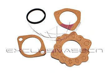 termostat,lichid racire 2
