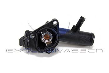 termostat,lichid racire 2