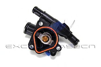 termostat,lichid racire 2