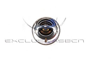termostat,lichid racire 2
