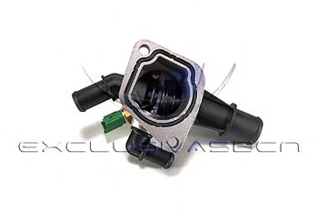 termostat,lichid racire 2