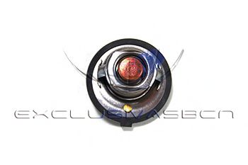 termostat,lichid racire 2