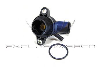 termostat,lichid racire 2