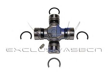Articulatie, cardan