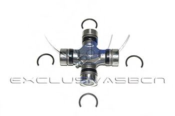 Articulatie, cardan