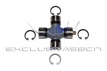 Articulatie, cardan