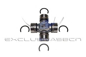 Articulatie, cardan
