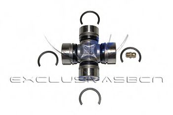 Articulatie, cardan