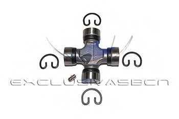 Articulatie, cardan