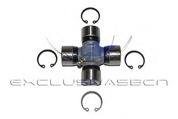 Articulatie, cardan