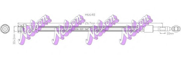 H6648 Furtun frana BROVEX-NELSON 