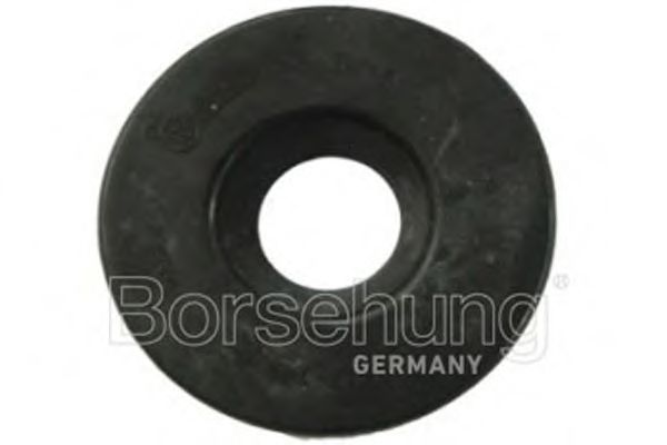 B11365 Saiba arc Borsehung 