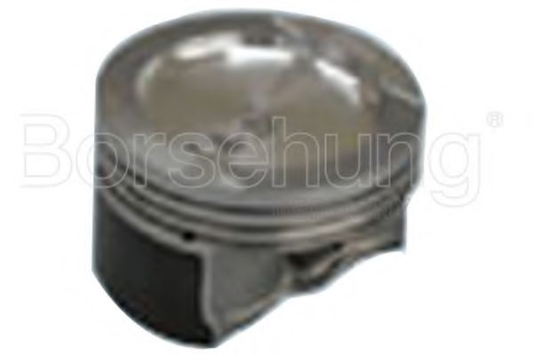 B13581 Piston Borsehung 