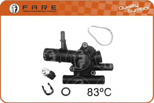 termostat,lichid racire