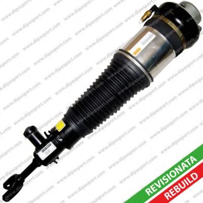 SSAS02744R Arc pneumatic, directie DIPASPORT 