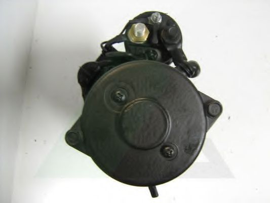 starter 3