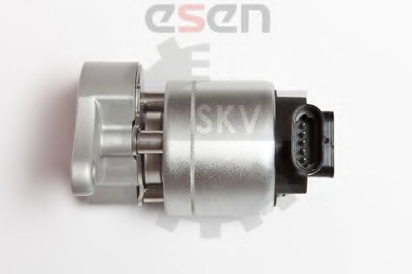 Supapa EGR 5