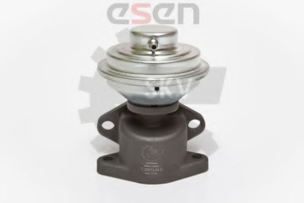 Supapa EGR 4