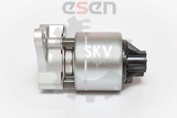 Supapa EGR 4