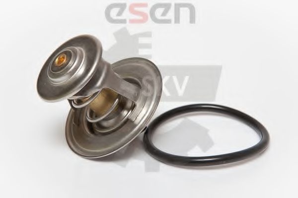 termostat,lichid racire 3