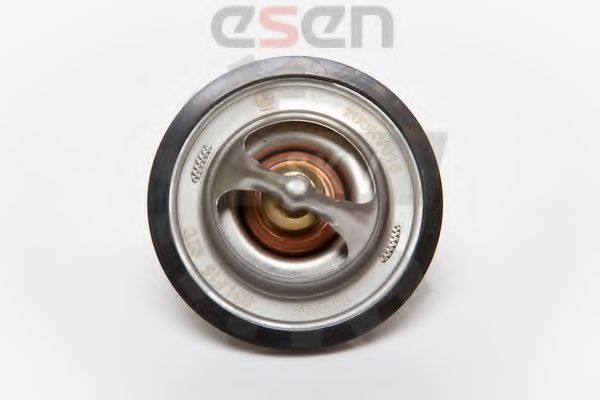 termostat,lichid racire 2