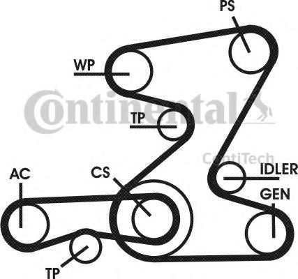Set curea transmisie cu caneluri 16